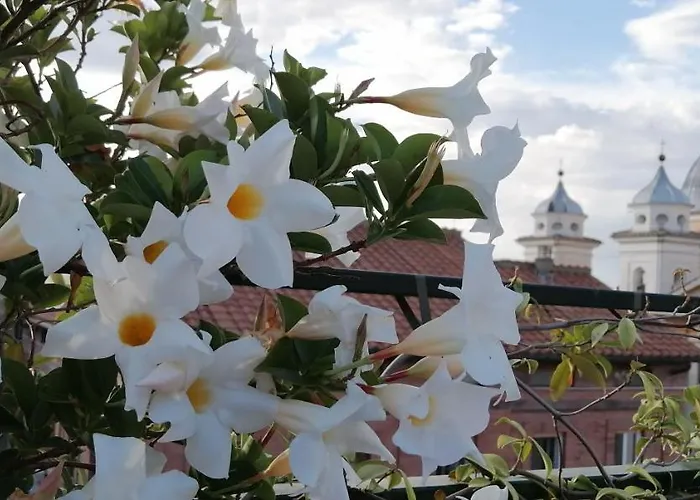 Favolosa Terrazza Nel Centro Di Lägenhet *