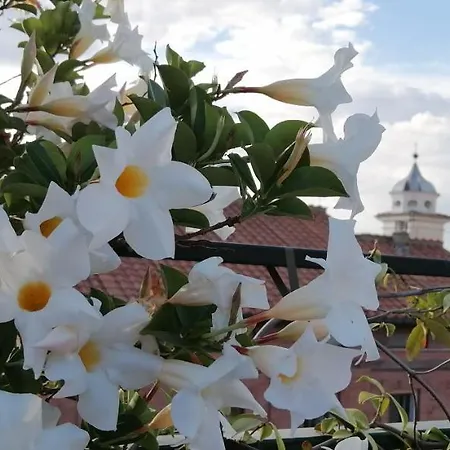 Favolosa Terrazza Nel Centro Di Διαμέρισμα *